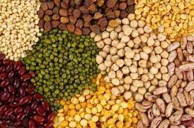 African Agro Commodities Ltd