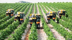 Nigerian Journal of Agriculture, Food and Environment