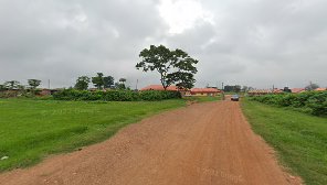 Green Bee Foods
